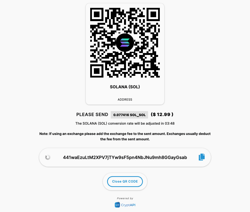 Example of CryptAPI's Custom Payment Flow taken from WooCommerce Plugin